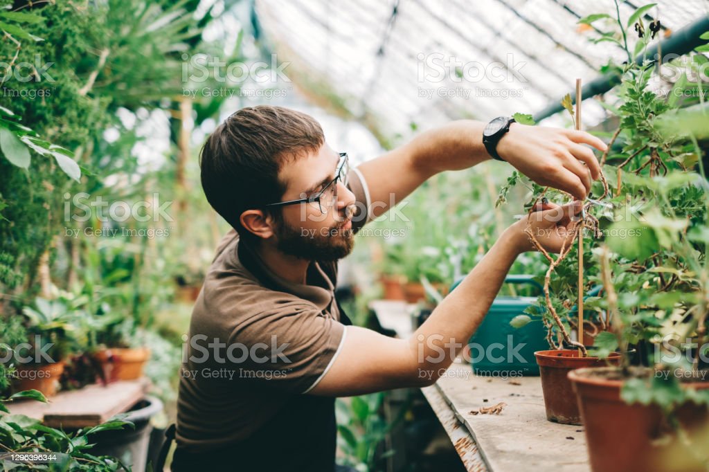 Zahradničení